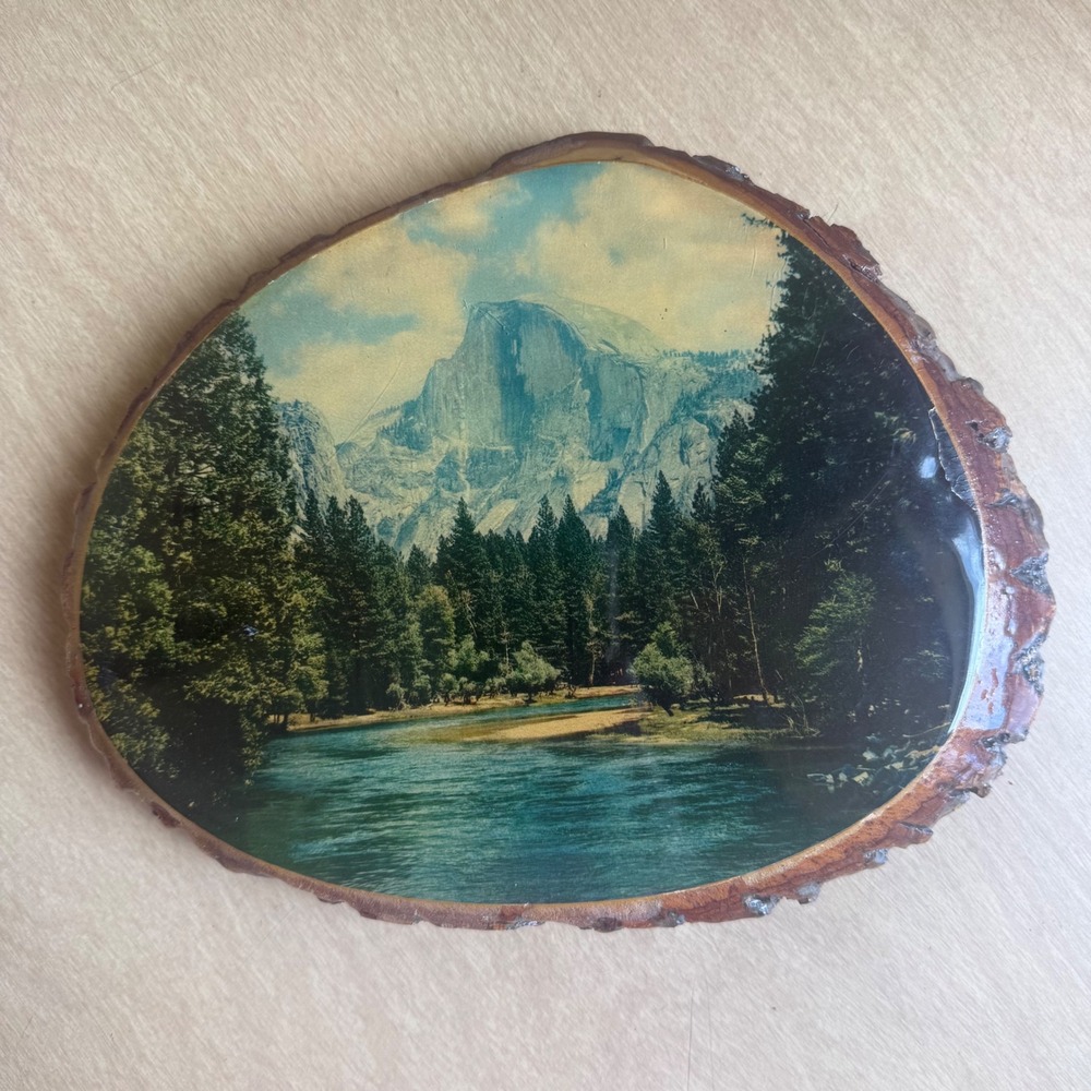 50 Special Plaque Yosemite Wood Slice Wall Art Half Dome Good 8.75in x 7.25in - Picture 4 of 10
